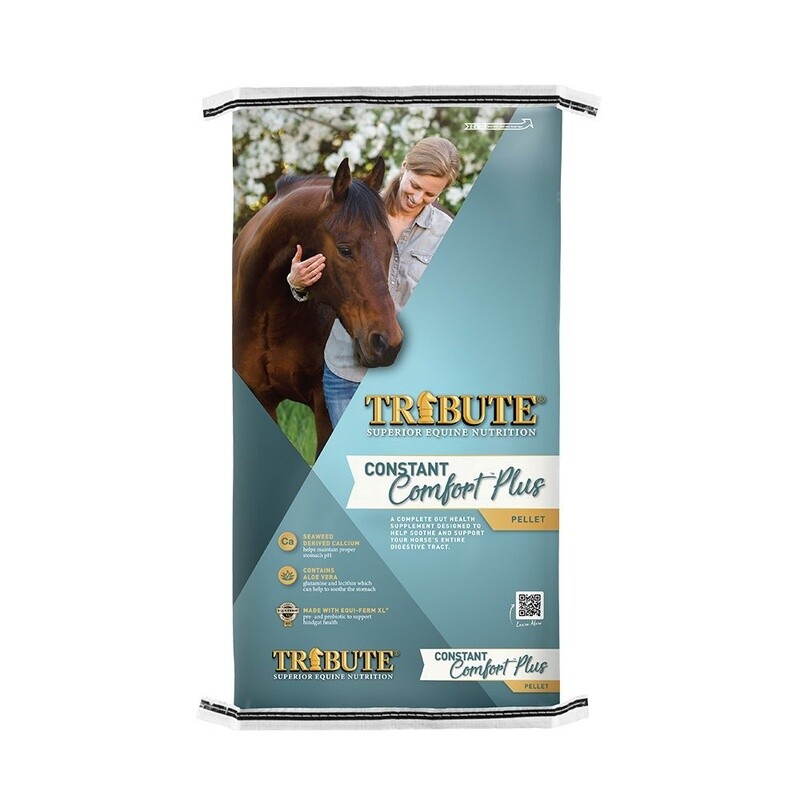 Tribute Constant Comfort® Plus 40 lb
