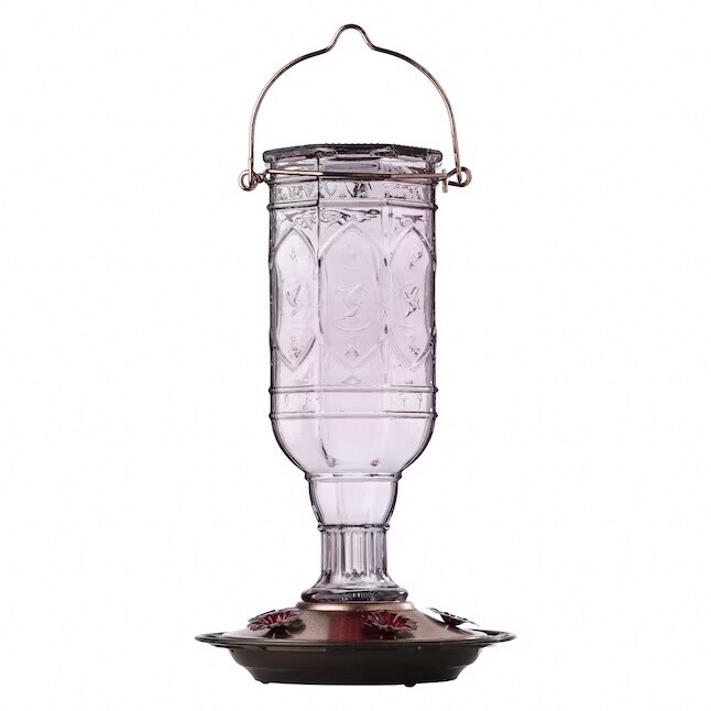 More Birds Purple Glass Hanging Hummingbird Feeder- 20 oz Capacity