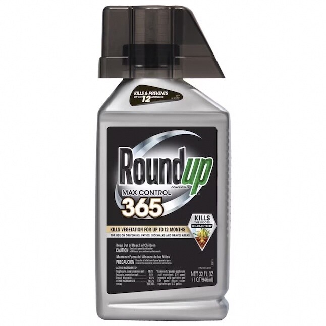 Roundup Max Control 365 Concentrated Weed and Grass Killer 32 oz