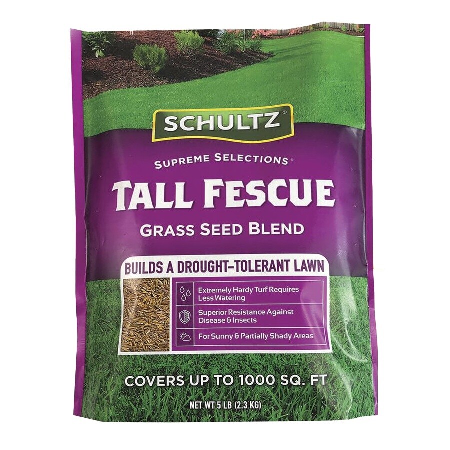 Schultz® Tall Fescue Grass Seed 5 lb