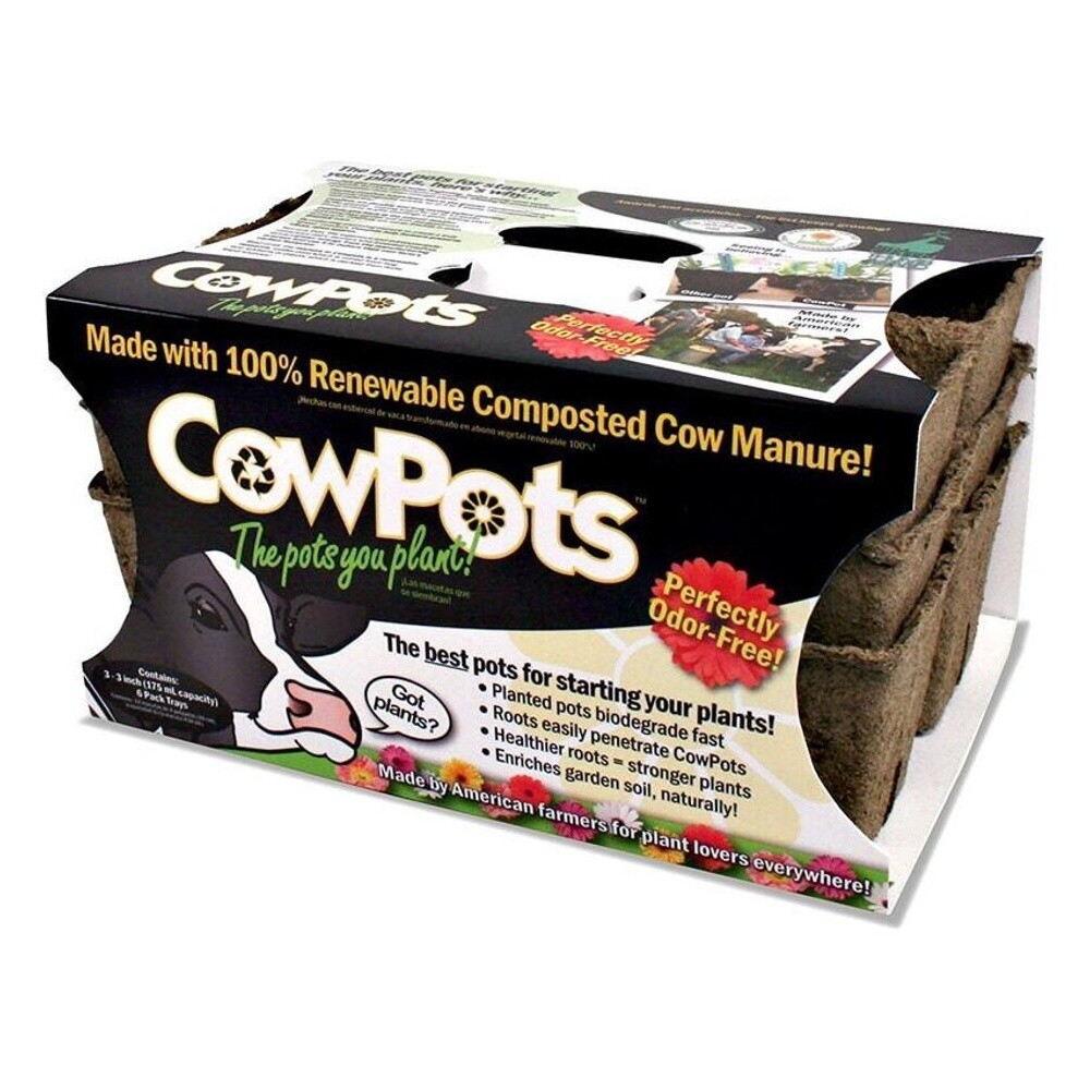 CowPots Plantable Pots 3 in Tray (3-Pack)