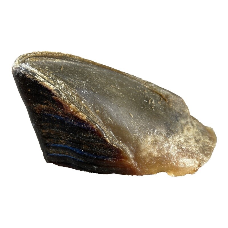 Great Lakes Cow Hooves