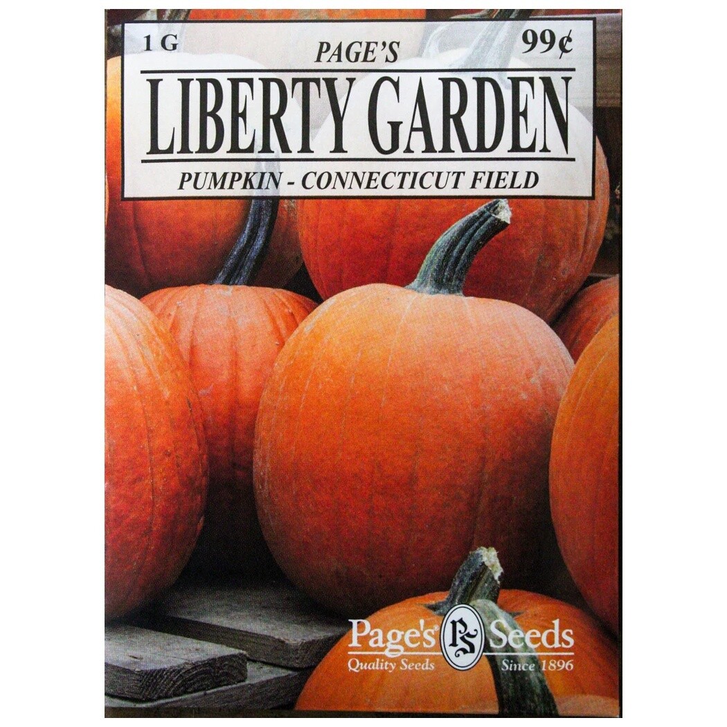 Liberty Garden Pumpkin (Connecticut Field) 1 g