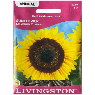 Livingston Seed Sunflower (Mammoth Russian) 5 g