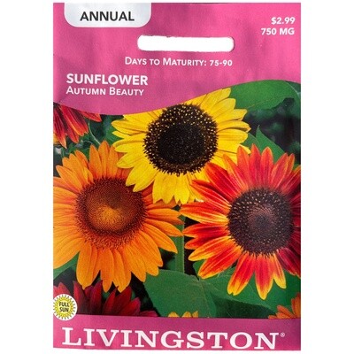 Livingston Seed Sunflower (Autumn Beauty) 750 mg