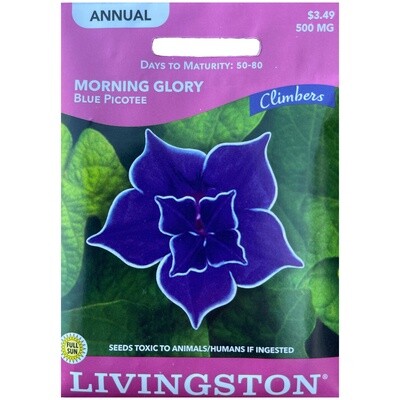 Livingston Seed Morning Glory (Blue Picotee) 500 mg