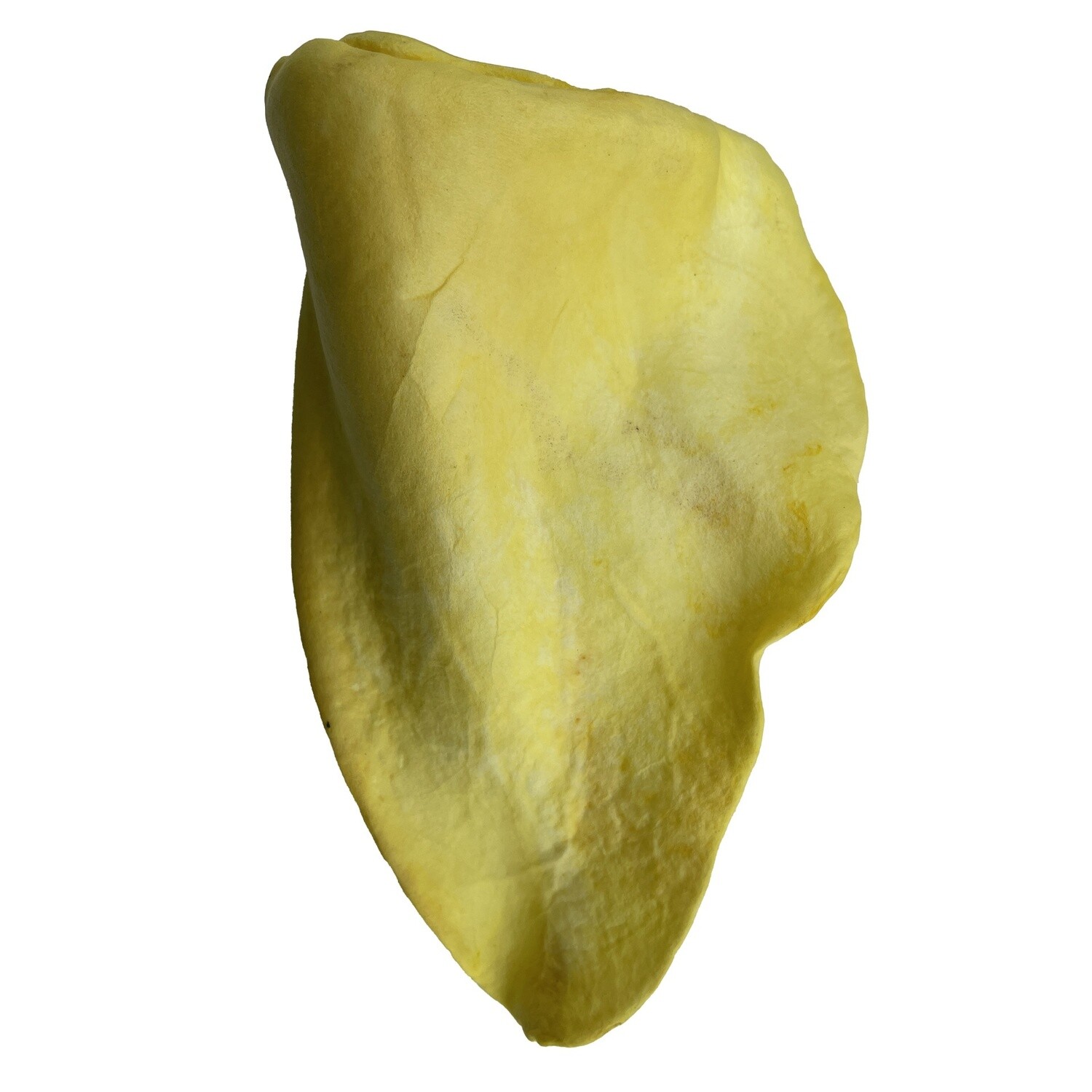 Great Lakes Cow Ear - Chicken Flavor