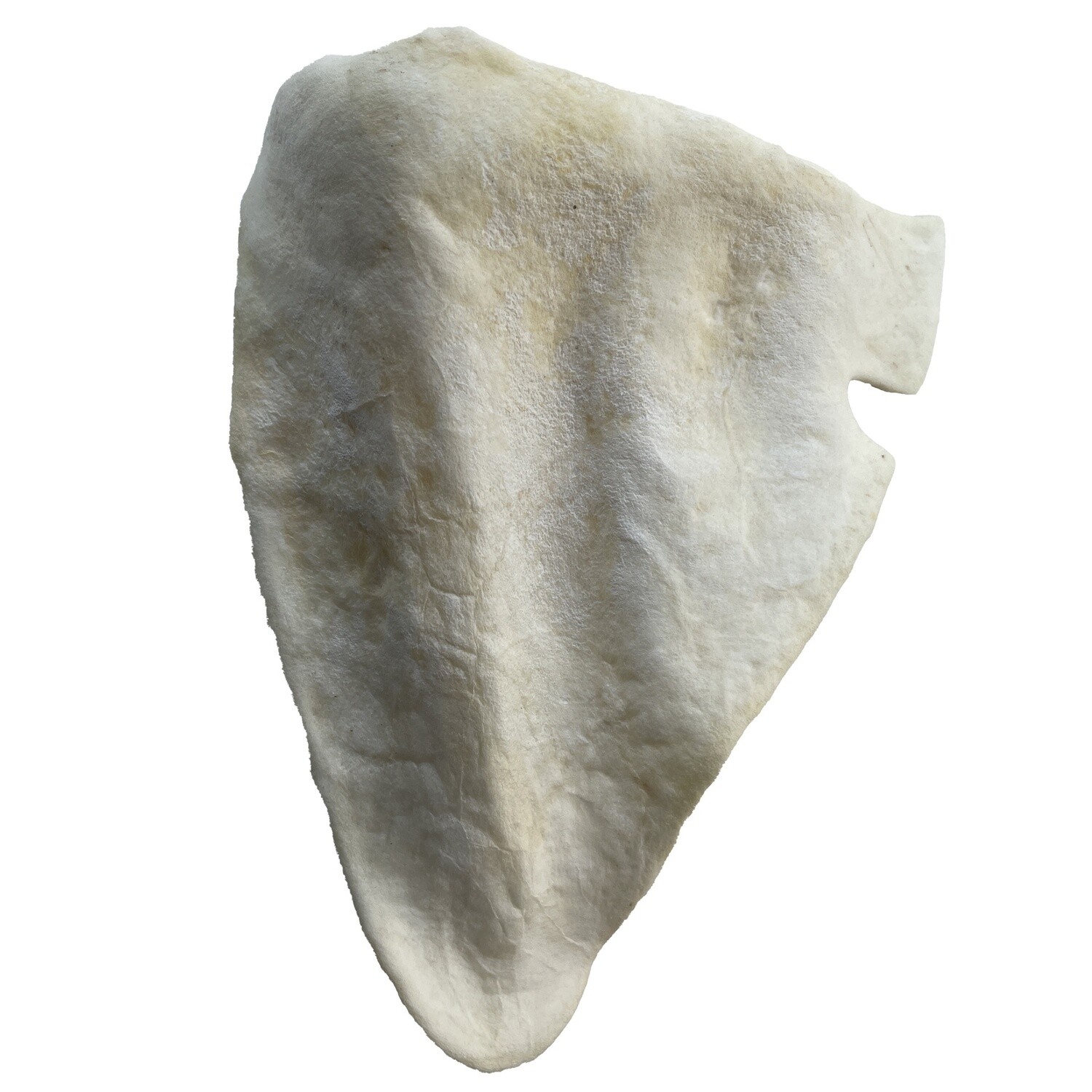 Great Lakes Cow Ear - Vanilla Flavor