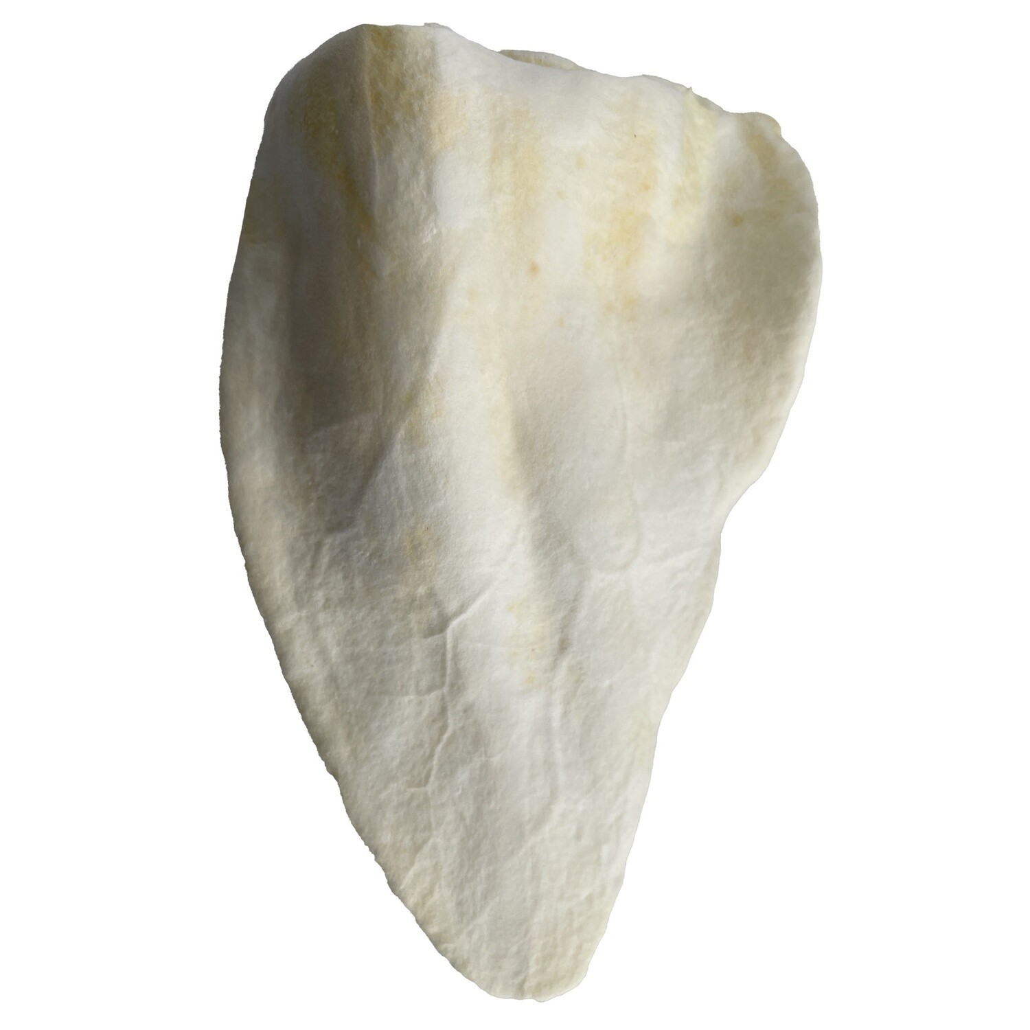 Great Lakes Cow Ear - Natural White