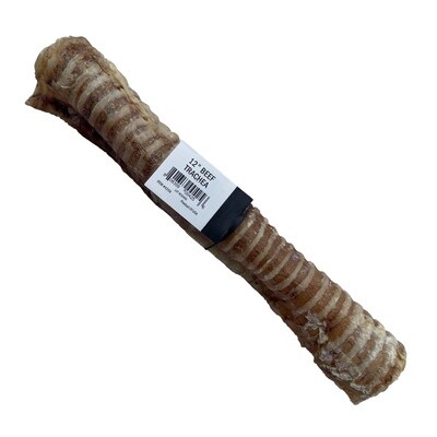 Great Lakes Beef Trachea 12 in