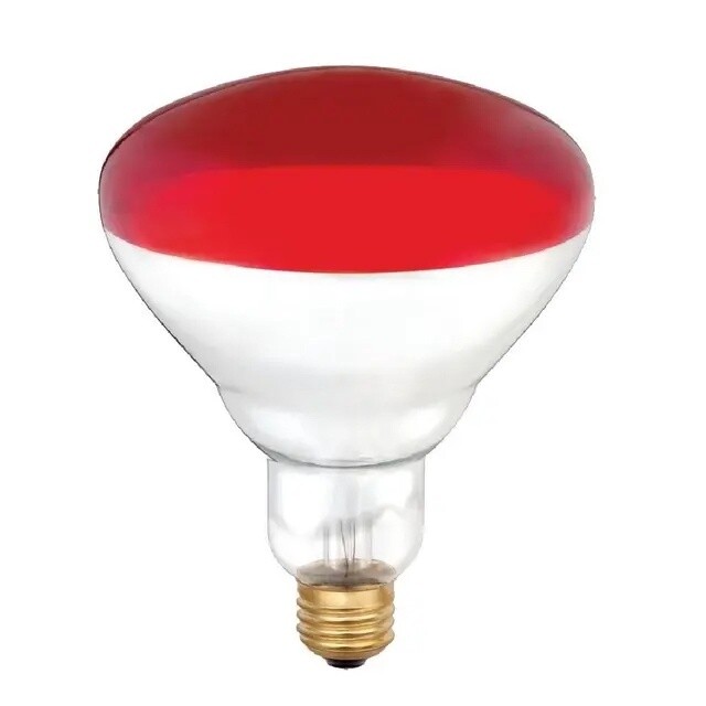 Brooder 250 Watt Red Faced Heat Lamp Bulb