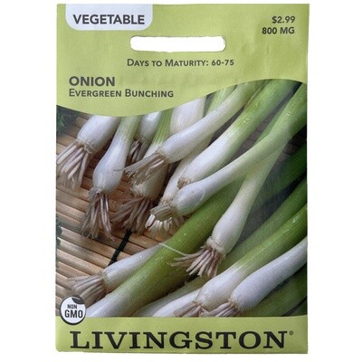 Livingston Seed Onion (Evergreen Bunching) 800 mg