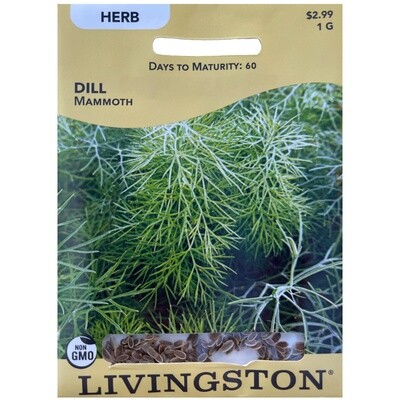 Livingston Seed Dill (Mammoth) 1 g