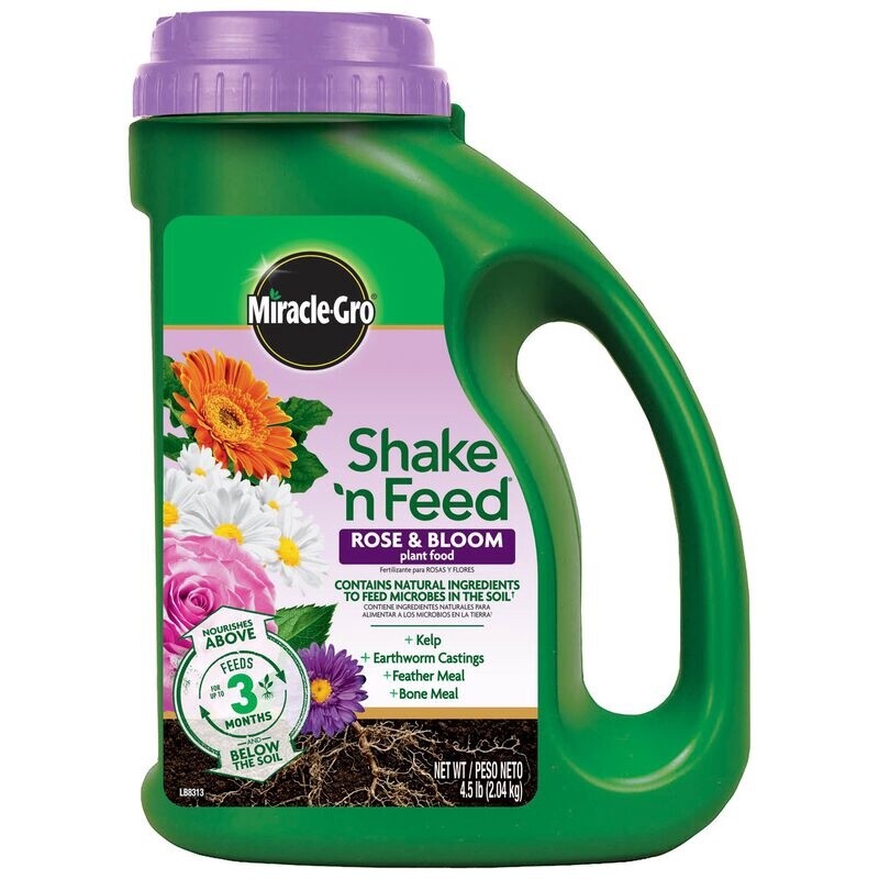 Miracle-Gro Shake &#39;n Feed Rose &amp; Bloom 4.5 lb