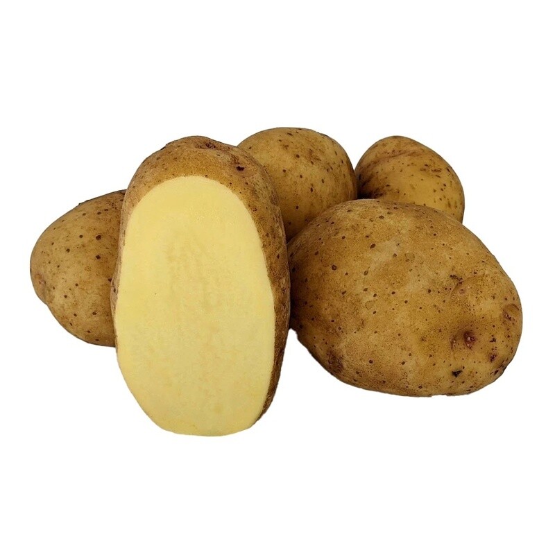 Yukon Gold Seed Potato 5 lb Liberty Farm Home Garden Galion OH