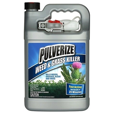 Pulverize Weed &amp; Grass Killer Ready-to-Spray 1-Gallon