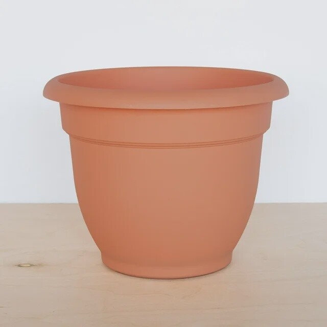 Bloem Ariana Self-Watering Planter | Liberty Farm & Garden, Galion OH