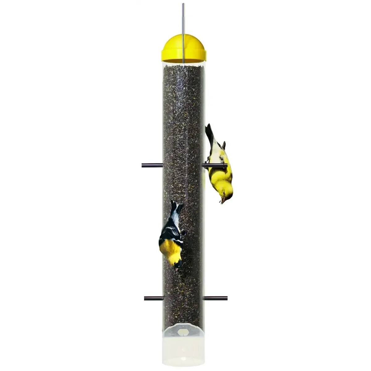Perky Pet Upside Down Finch Feeder