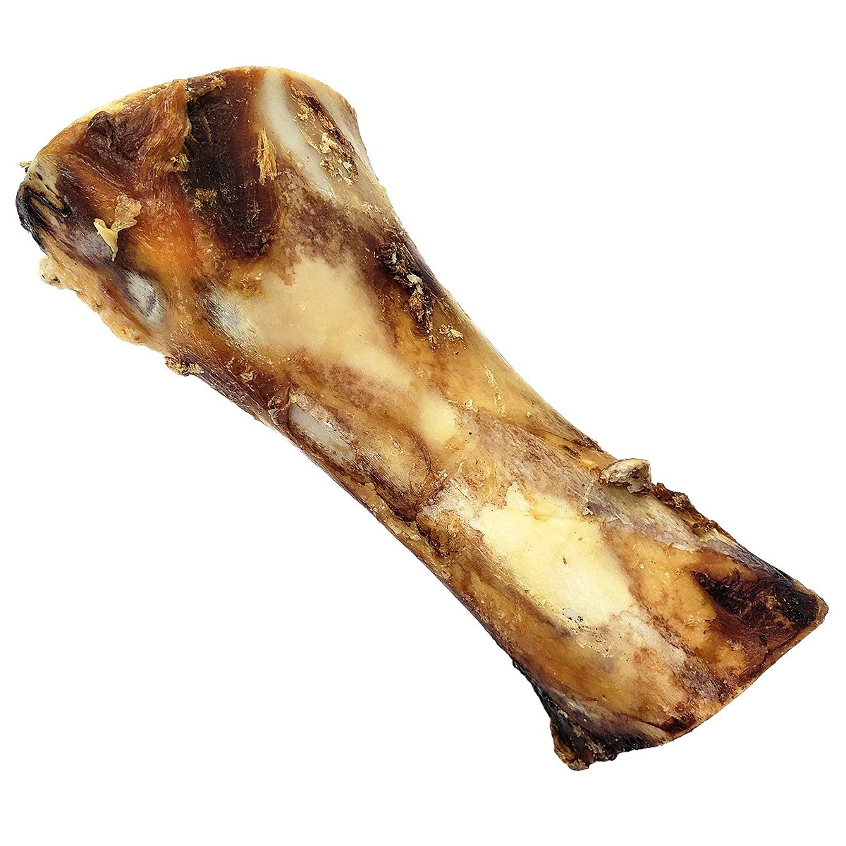 Tuesday&#39;s Natural Bison Femur Bone