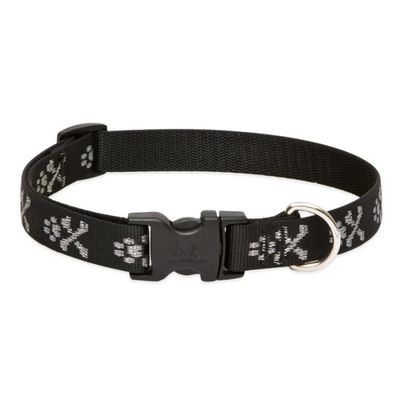 Lupine Original Designs Bling Bonz Collar (3/4 in) long-lasting - dog collars and leashes at Libert…