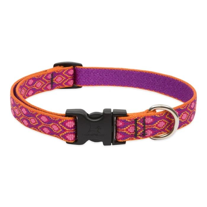 Lupine Original Designs Alpen Glow Collar (3/4 in)