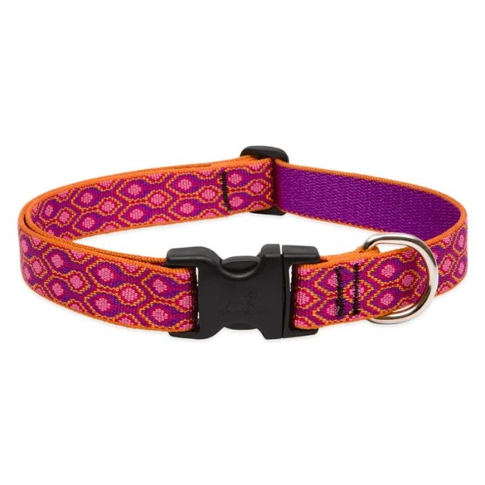 Lupine Original Designs Alpen Glow Collar (1 in)