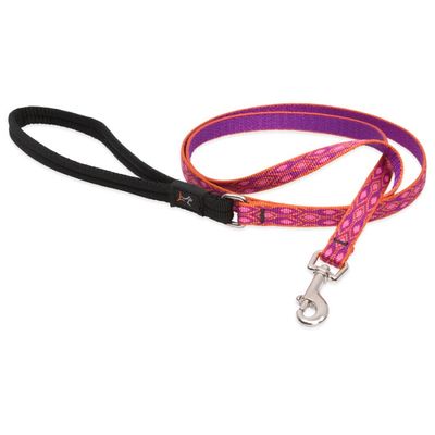 Lupine Original Designs Alpen Glow Leash (6 ft) - dog collars and leashes at Liberty Farm Home and …