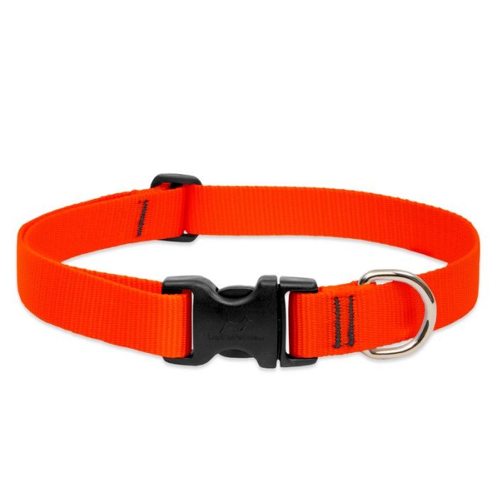 Lupine Basic Solids Blaze Orange Collar (1 in)