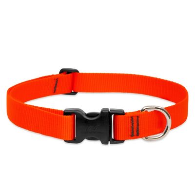Lupine Basic Solids Blaze Orange Collar (1 in) - dog collars and leashes at Liberty Farm Home and G…