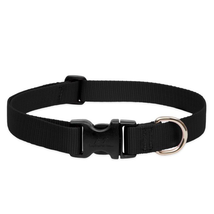 Lupine Basic Solids Black Collar (1 in)