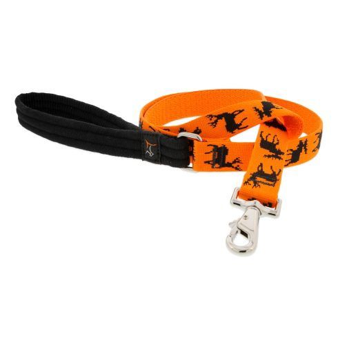 Lupine MicroBatch Big Game Leash (6 ft)