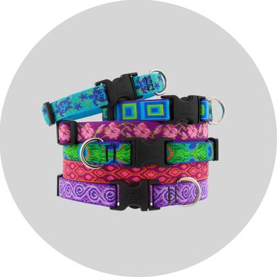 Collars &amp; Leads