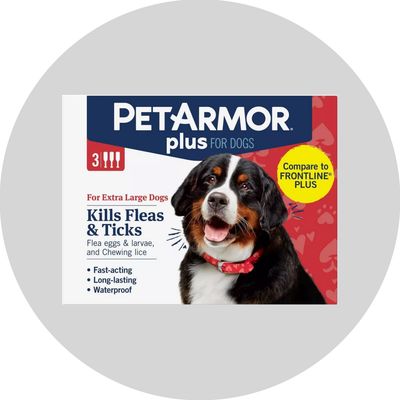 Flea &amp; Tick
