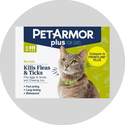 Flea &amp; Tick