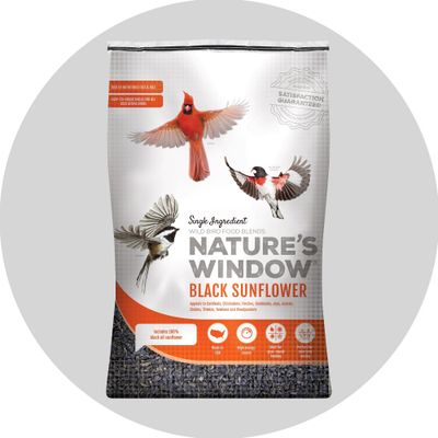 Birdseed