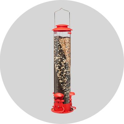 Bird Feeders &amp; Supplies