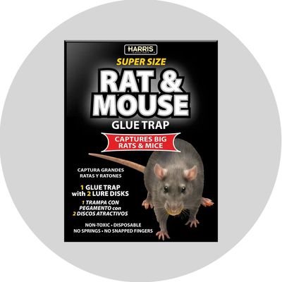 Rodent Control