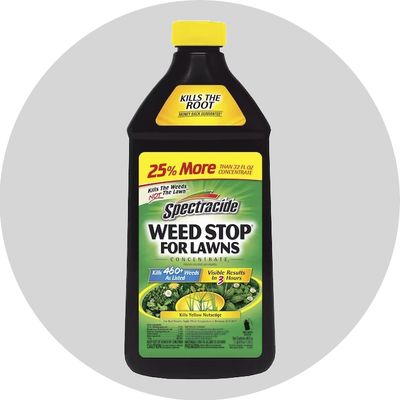 Lawn Weed Control