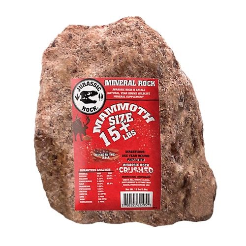 Jurassic Rock Mammoth Mineral Rock (15 lb)