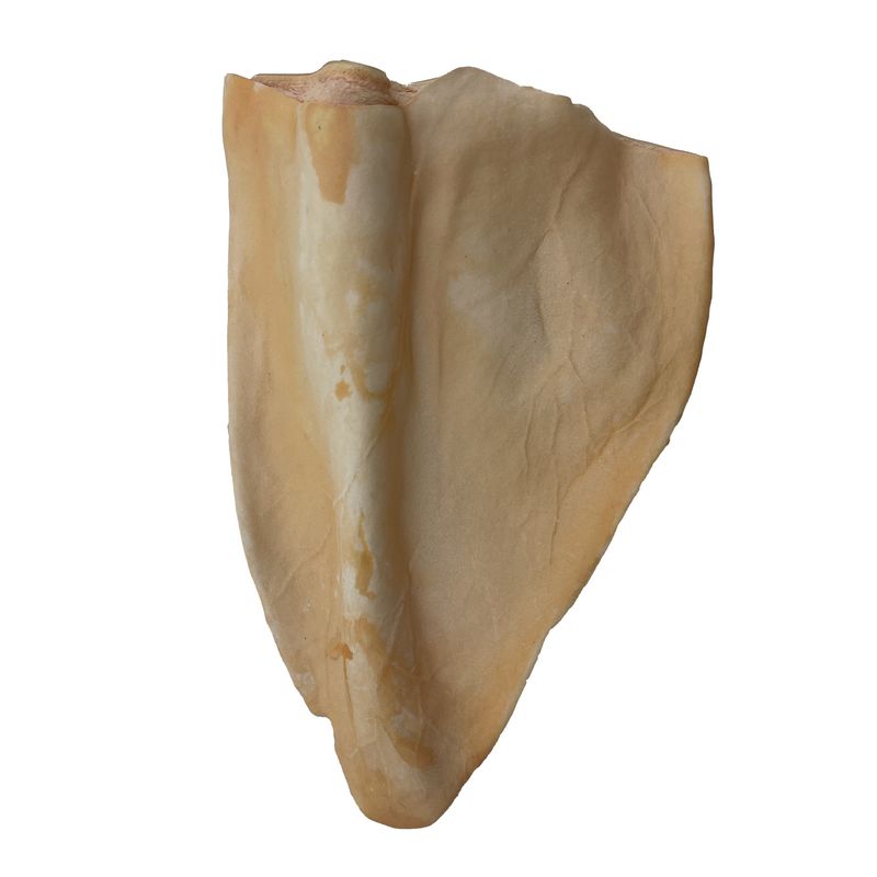 Nature&#39;s Own Cow Ear - Pumpkin Spice Flavor