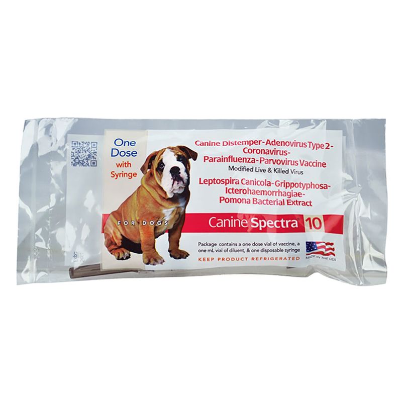 Spectra 10 Dog Vaccine &amp; Syringe