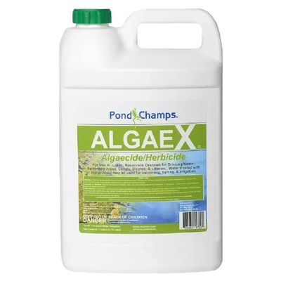 Pond Champs Algae X Algaecide/Herbicide (1 Gallon)