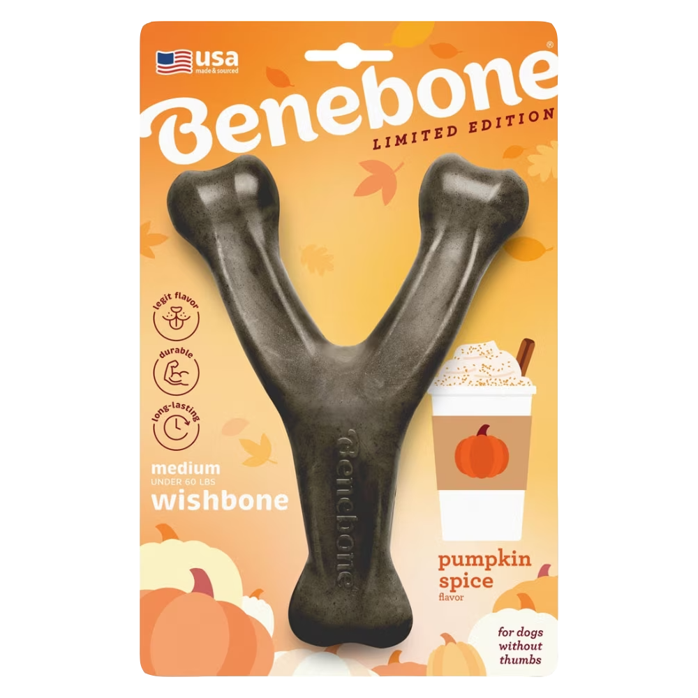 Benebone Pumpkin Spice Wishbone Dog Chew Toy