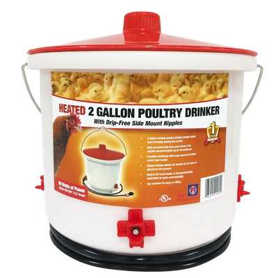 Heated poultry drinker 2 gallon 60 watt — LibertyFHG Galion OH