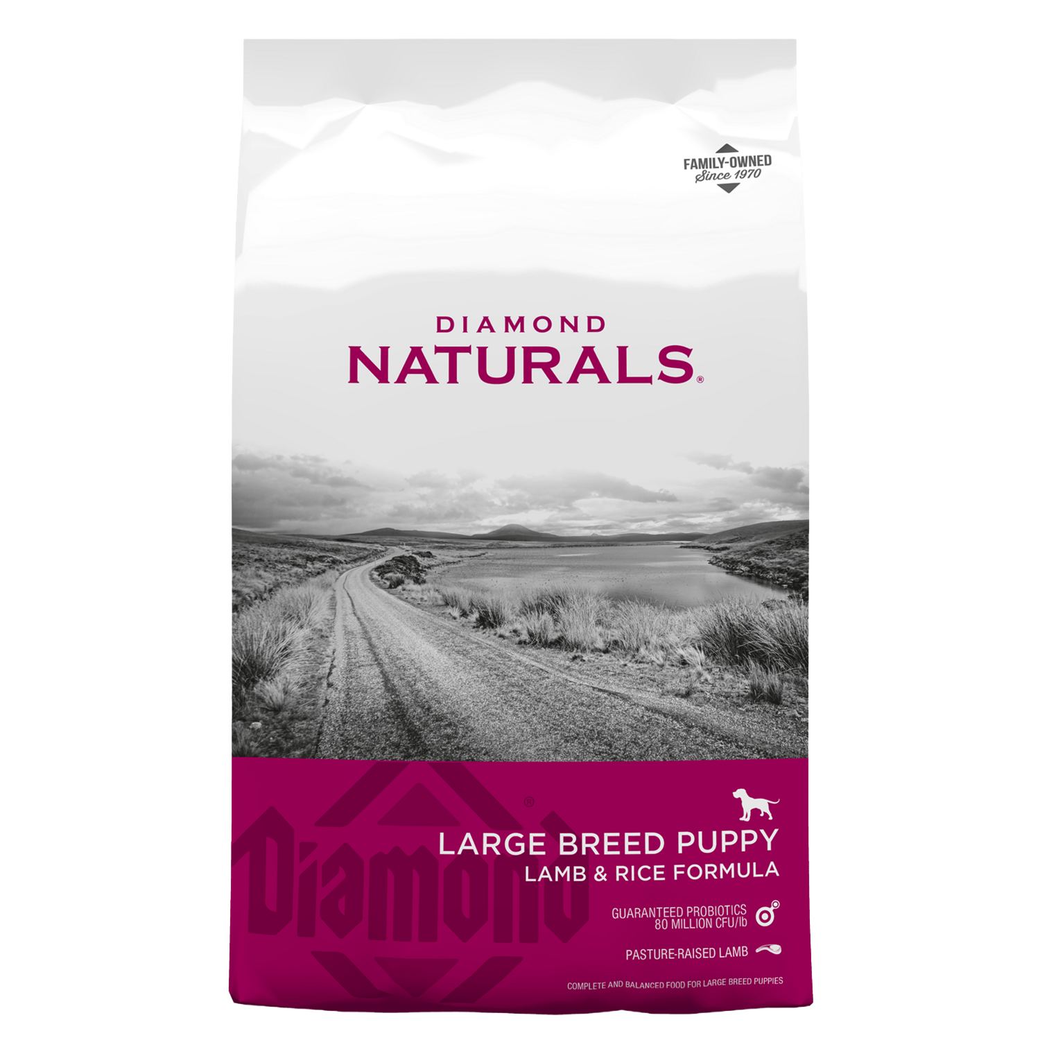 Front view of Diamond Naturals Large Breed Puppy Lamb &amp; Rice Formula 20 lb bag