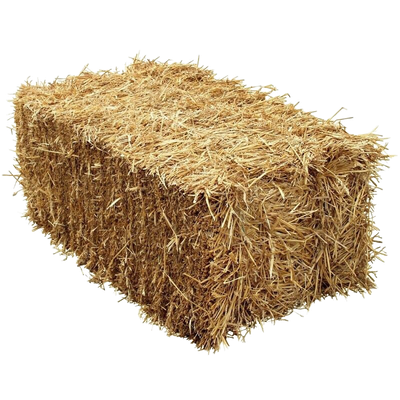 Front view of standard bale of straw — LibertyFHG Galion OH