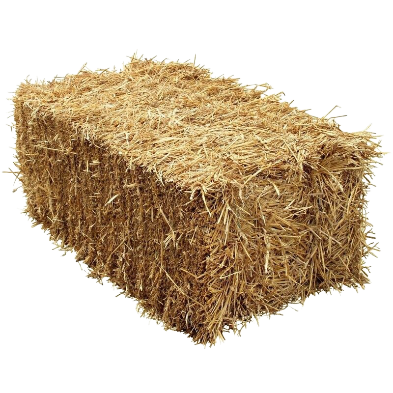 Front view of standard bale of straw — LibertyFHG Galion OH
