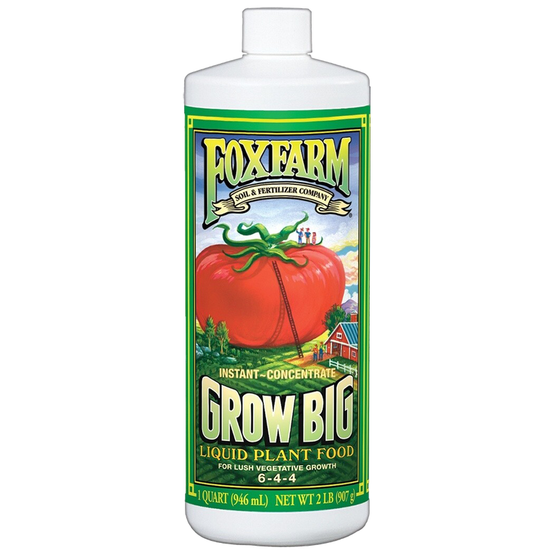 Front view of FoxFarm Grow Big liquid fertilizer 1 quart bottle — LibertyFHG Galion OH