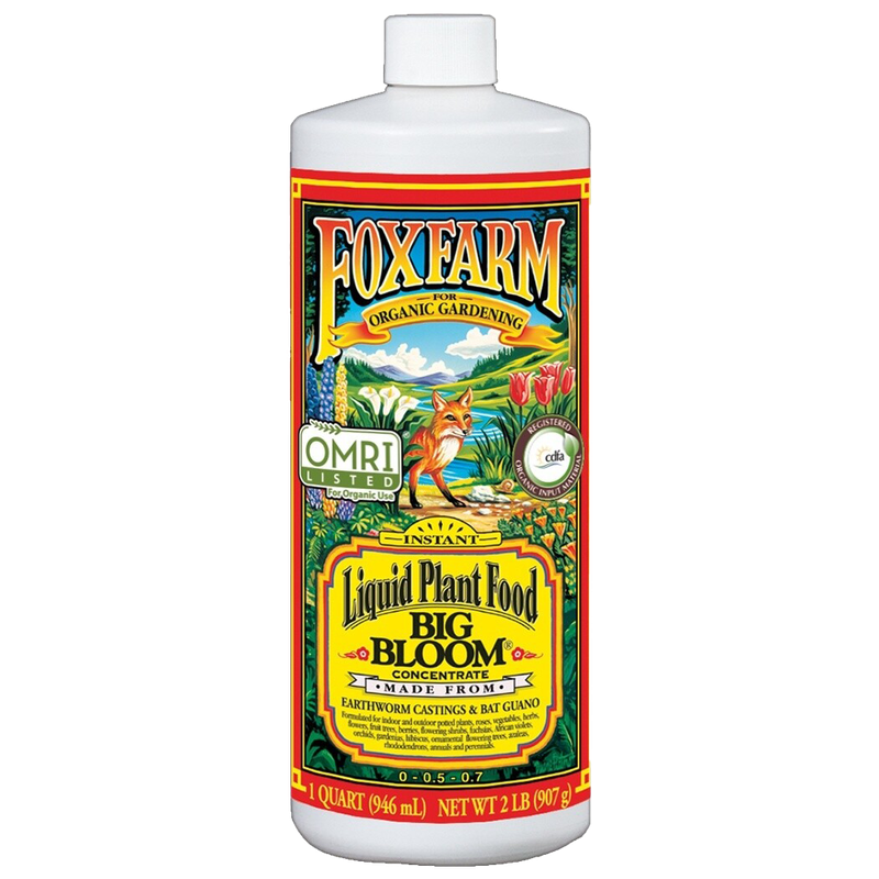 Front view of FoxFarm Big Bloom liquid fertilizer 1 quart bottle — LibertyFHG Galion OH