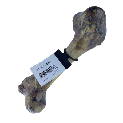 Great Lakes Meaty Pork Femur Bone (6-7 in) Liberty FHG Galion